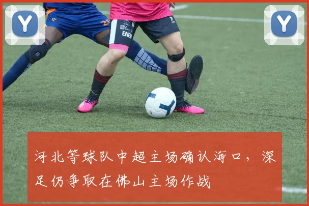 河北等球队中超主场确认海口，深足仍争取在佛山主场作战