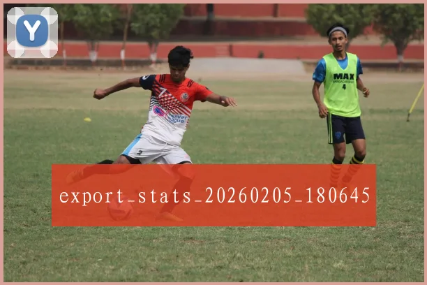 export_stats_20260205_180645