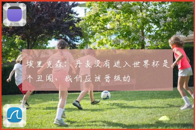 埃里克森：丹麦没有进入世界杯是个丑闻，我们应该晋级的